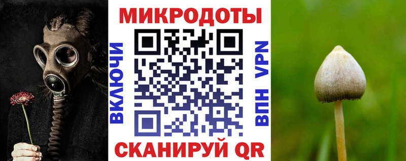 Галлюциногенные грибы Psilocybe  дарк нет Telegram  Новокубанск  купить закладку 