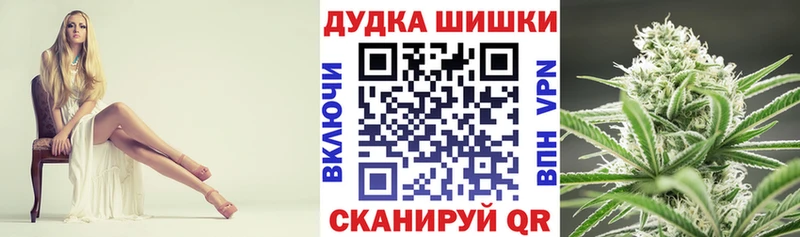 shop официальный сайт  Новокубанск  Каннабис VHQ 